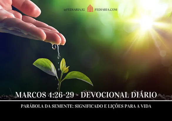 Marcos 4:26-29 – Devocional Diário